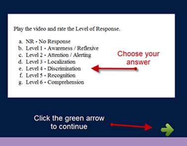 Example of quiz page