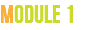 Module 1