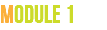 Module 1