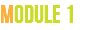 Module 1